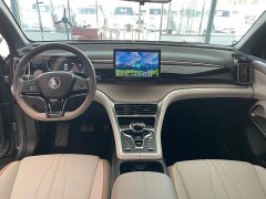 BYD Song Pro New Energy DM-i 71KM Glory Edition Pilot - ფოტო 6
