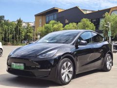 Tesla Model Y Long Range All-Wheel Drive - ფოტო 1