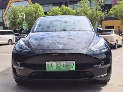 Tesla Model Y Long Range All-Wheel Drive - ფოტო 2