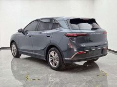 FAW Yueyi 03 445km Heart Delight Edition - photo 4