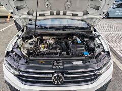 Volkswagen Tiguan L Outstanding Edition 300TSI Automatic FWD Dragon Ascendant Version - ფოტო 17