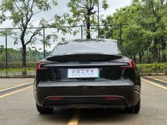Tesla Model 3 Long Range Rear-Wheel Drive - ფოტო 10
