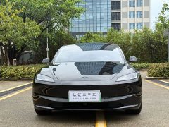 Tesla Model 3 Long Range Rear-Wheel Drive - ფოტო 2