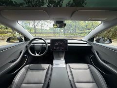 Tesla Model 3 Long Range Rear-Wheel Drive - ფოტო 7