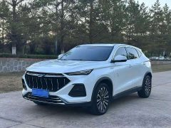 Changan Oushang X5 1.5T DCT Luxury - ფოტო 1