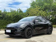 Tesla Model Y 2023 Long Range All-Wheel Drive - ფოტო 1
