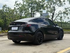 Tesla Model Y 2023 Long Range All-Wheel Drive - ფოტო 14