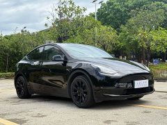 Tesla Model Y 2023 Long Range All-Wheel Drive - ფოტო 3