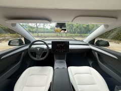 Tesla Model Y 2023 Long Range All-Wheel Drive - ფოტო 7