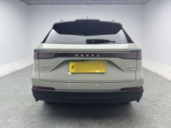 Haval Xiaolong MAX Hi4 165 Plus Long Range - ფოტო 12