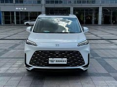 Buick GL8 New Energy Lusang Respect Edition - ფოტო 2