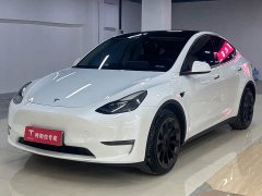Tesla Model Y Long Range All-Wheel Drive - ფოტო 1