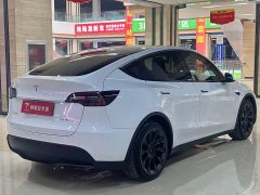 Tesla Model Y Long Range All-Wheel Drive - ფოტო 11