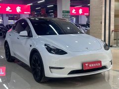 Tesla Model Y Long Range All-Wheel Drive - ფოტო 3