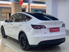 Tesla Model Y Long Range All-Wheel Drive - ფოტო 9