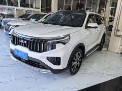 Kia Sportage Ace 2.0L Brilliant Edition - ფოტო 1