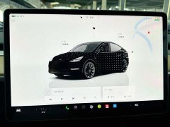 Tesla Model Y Rear-Wheel Drive - ფოტო 13