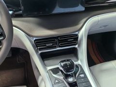 BYD Song Pro New Energy DM-i 51km Premium - ფოტო 10