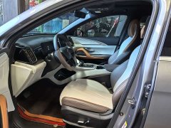 BYD Song Pro New Energy DM-i 51km Premium - ფოტო 7