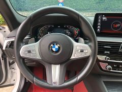 BMW 5 Series Facelift 530Li Premier M Sport Package - ფოტო 10