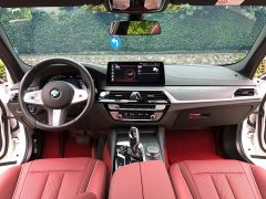 BMW 5 Series Facelift 530Li Premier M Sport Package - ფოტო 13