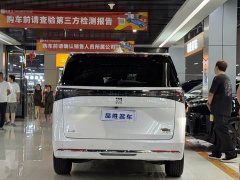 Buick GL8 Land Executive Cabin Advance Edition - ფოტო 5