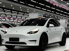 Tesla Model Y Rear-Wheel Drive - ფოტო 1