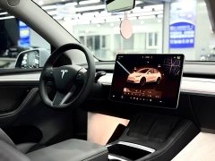 Tesla Model Y Rear-Wheel Drive - ფოტო 12