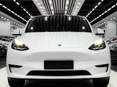 Tesla Model Y Rear-Wheel Drive - ფოტო 2