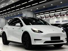 Tesla Model Y Rear-Wheel Drive - ფოტო 3