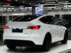 Tesla Model Y Rear-Wheel Drive - ფოტო 6