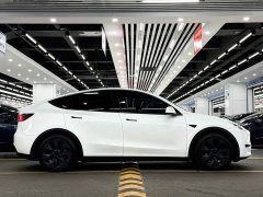 Tesla Model Y Rear-Wheel Drive - ფოტო 7