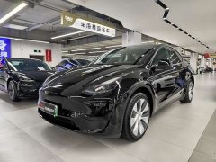 Tesla Model Y Rear-Wheel Drive - ფოტო 1