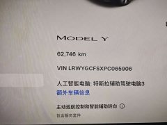 Tesla Model Y Rear-Wheel Drive - ფოტო 10