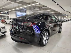Tesla Model Y Rear-Wheel Drive - ფოტო 12