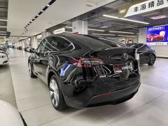 Tesla Model Y Rear-Wheel Drive - ფოტო 14