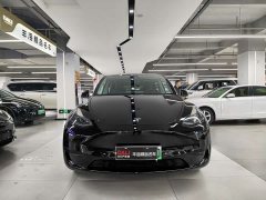 Tesla Model Y Rear-Wheel Drive - ფოტო 2