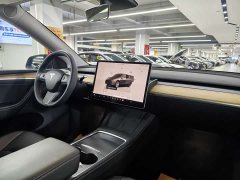 Tesla Model Y Rear-Wheel Drive - ფოტო 9