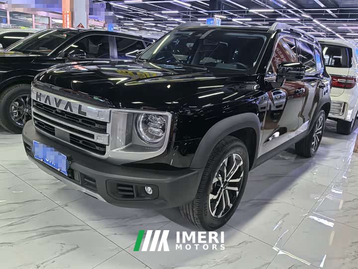 Great Wall Dachshund 2024 1.5T DCT Border Collie Edition - ავტომობილი ჩინეთიდან