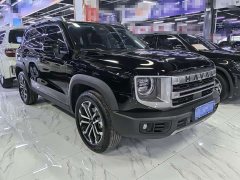 Great Wall Dachshund 2024 1.5T DCT Border Collie Edition - ფოტო 3