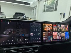 Li Auto L8 Pro - ფოტო 13