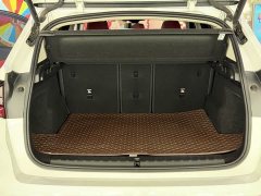 BMW X1 sDrive20Li X Design Package - ფოტო 10