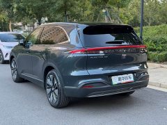 Buick Zhijing E7 1600 Ultra-Loaded Turbo Edition - ფოტო 8