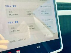 Tesla Model 3 Rear-Wheel Drive - ფოტო 13