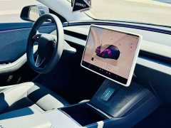 Tesla Model 3 Rear-Wheel Drive - ფოტო 14