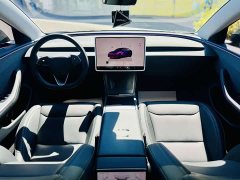 Tesla Model 3 Rear-Wheel Drive - ფოტო 7