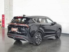 Jetour Jietu Shanhai L7 2024 1.5T 120km MAX 7-Seater - ფოტო 2