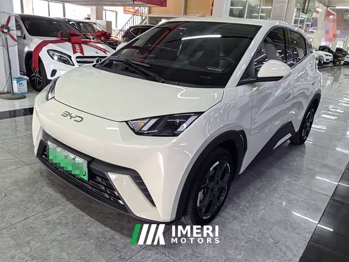 BYD Seagull Glory Edition 305km Freedom Version - ავტომობილი ჩინეთიდან