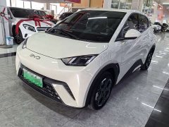 BYD Seagull Glory Edition 305km Freedom Version - ფოტო 1