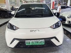 BYD Seagull Glory Edition 305km Freedom Version - ფოტო 2